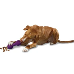 Fashion PetSafe Busy Buddy® Chuckle™