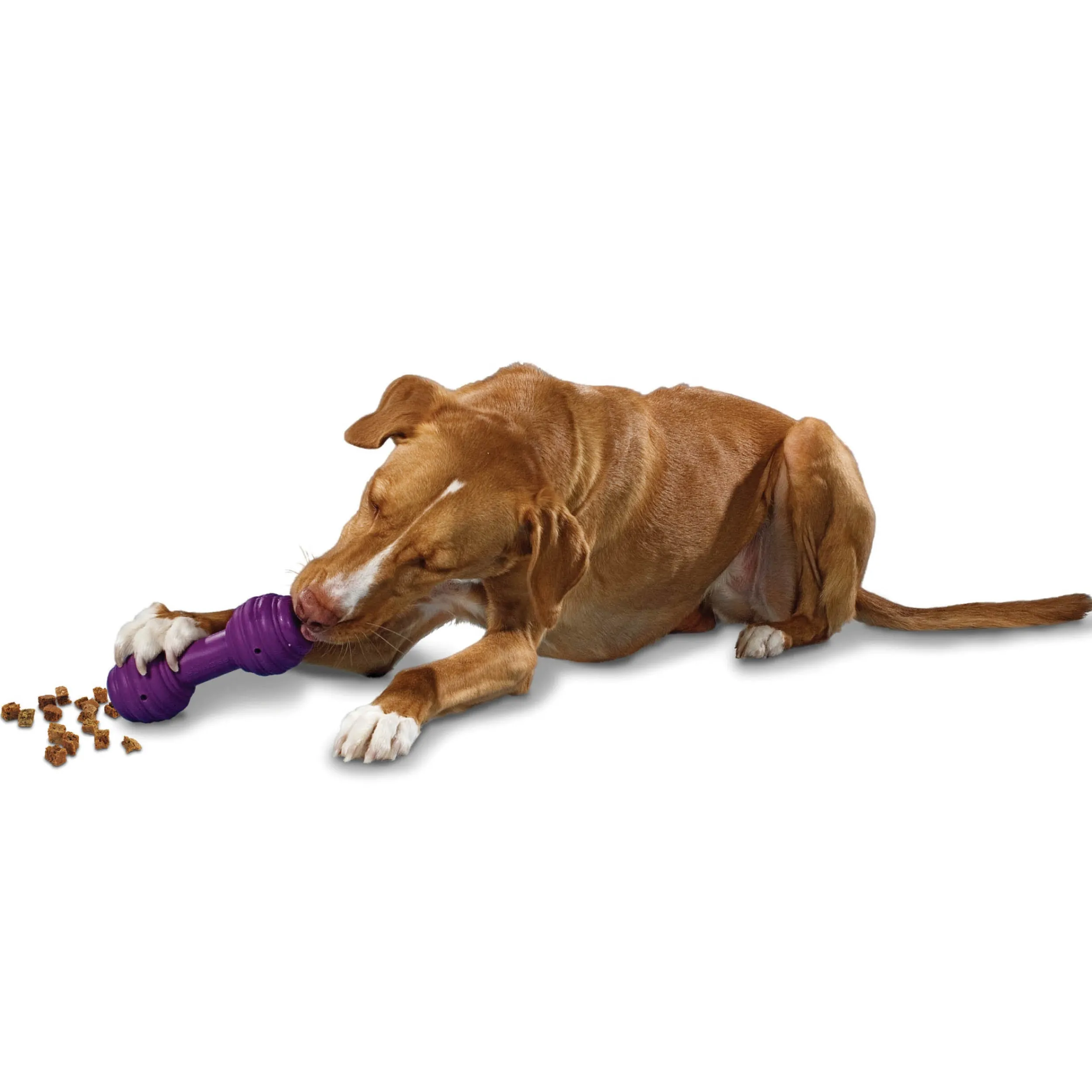 Fashion PetSafe Busy Buddy® Chuckle™