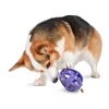 Fashion PetSafe Busy Buddy® Kibble Nibble™