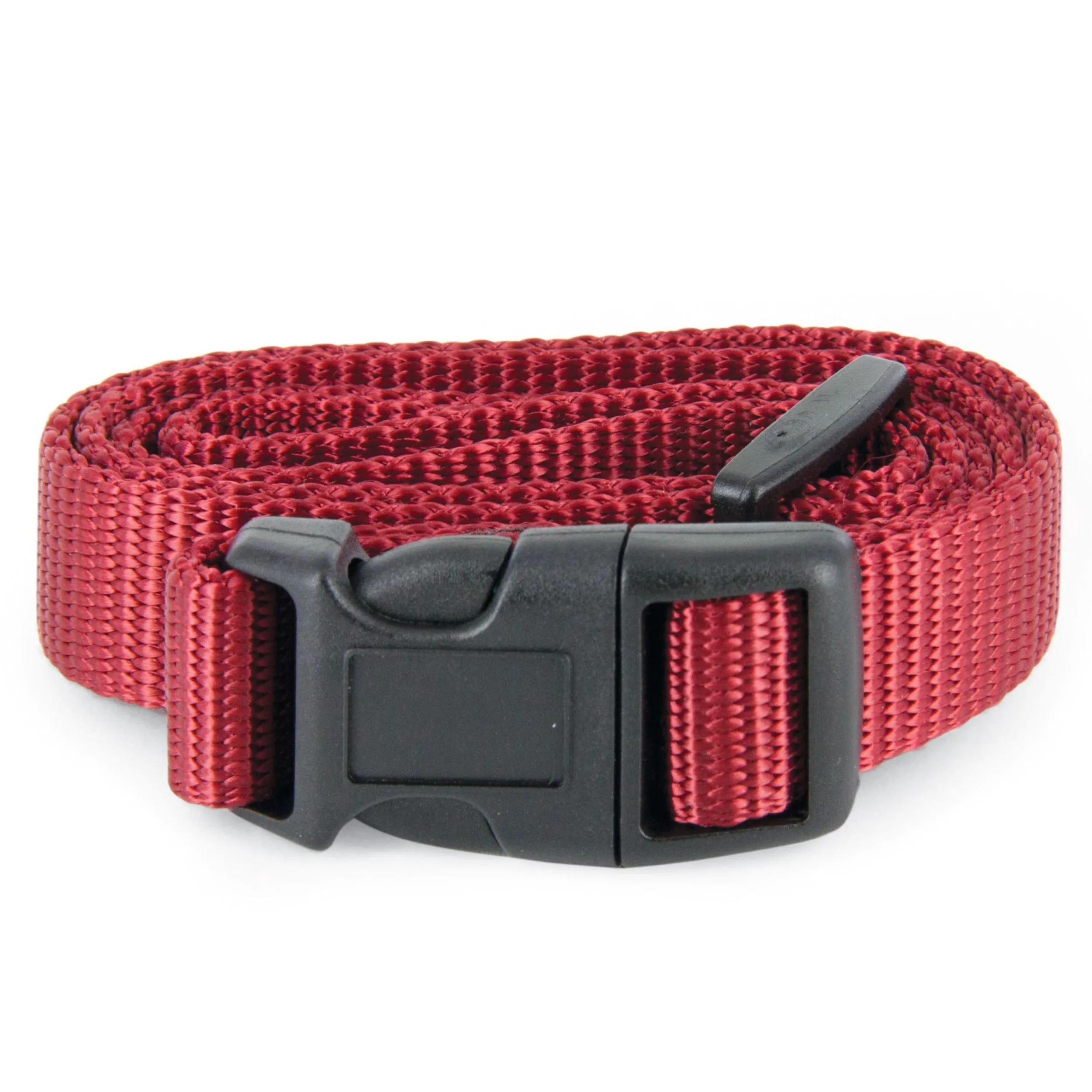 Cheap PetSafe 3/4" Rust Replacement Collar Strap with no holes